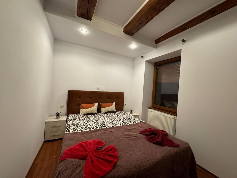 Iazi Apartament Brașov Exterior foto